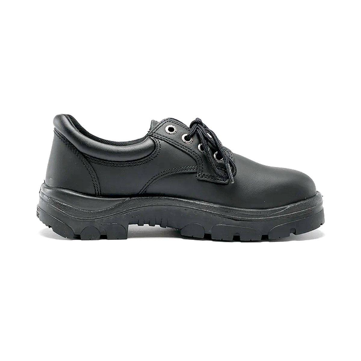 Steel Blue Eucla Safety Shoe 312126